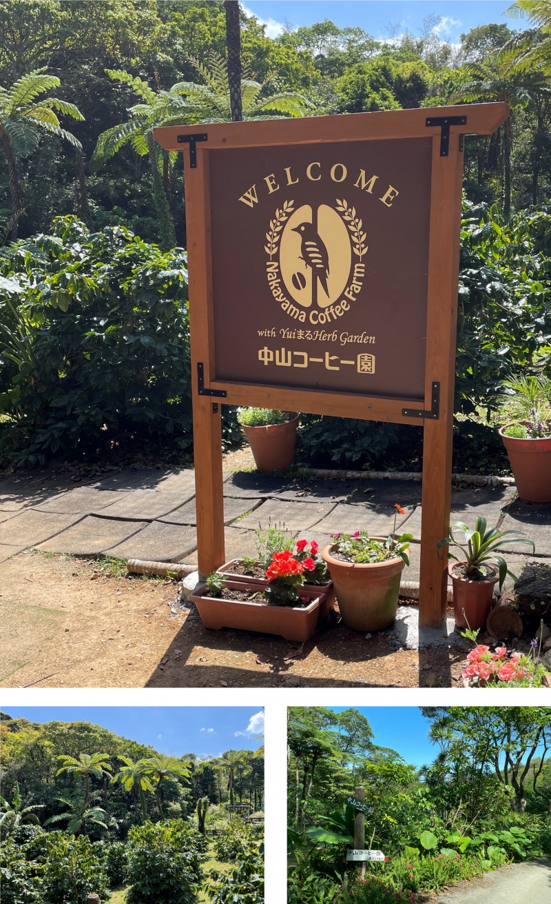 亀屋のあんぱん抽選会開催