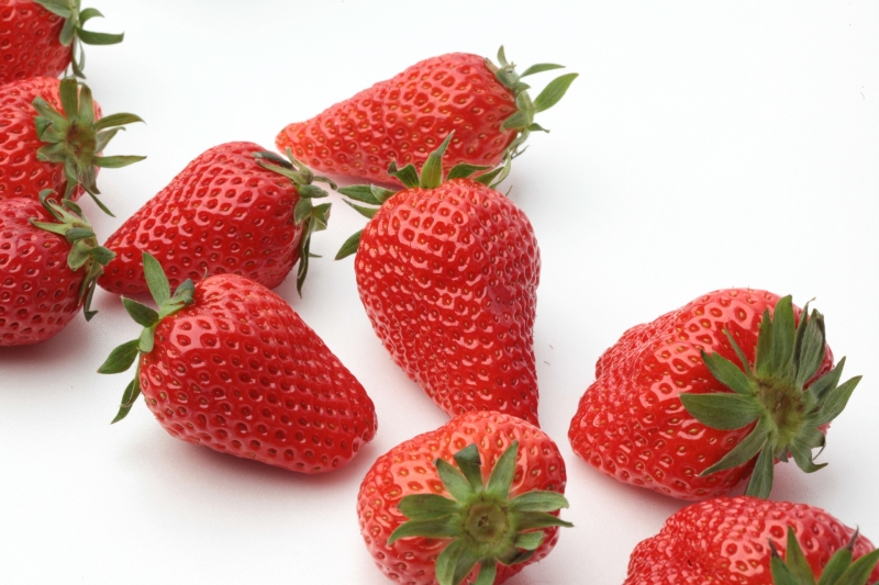 亀屋のあんぱん抽選会開催